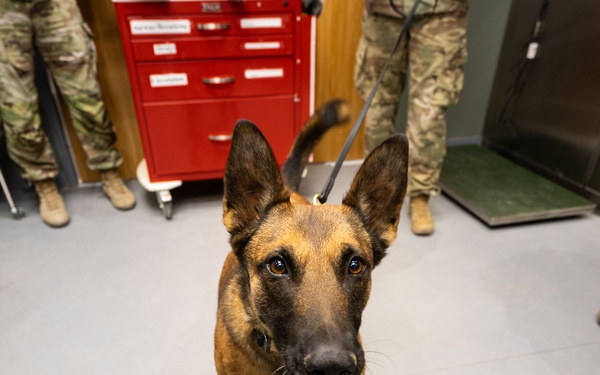 332nd EMDS receives canine TCCC training