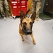 332nd EMDS receives canine TCCC training