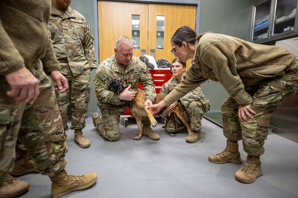 332nd EMDS receives canine TCCC training