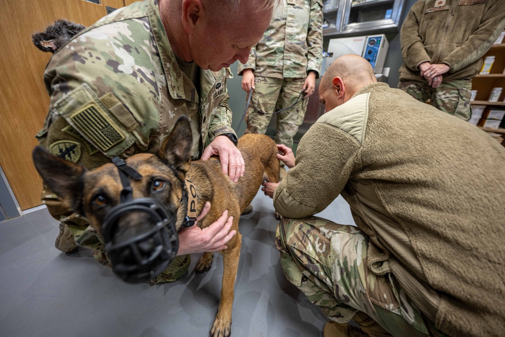 332nd EMDS receives canine TCCC training