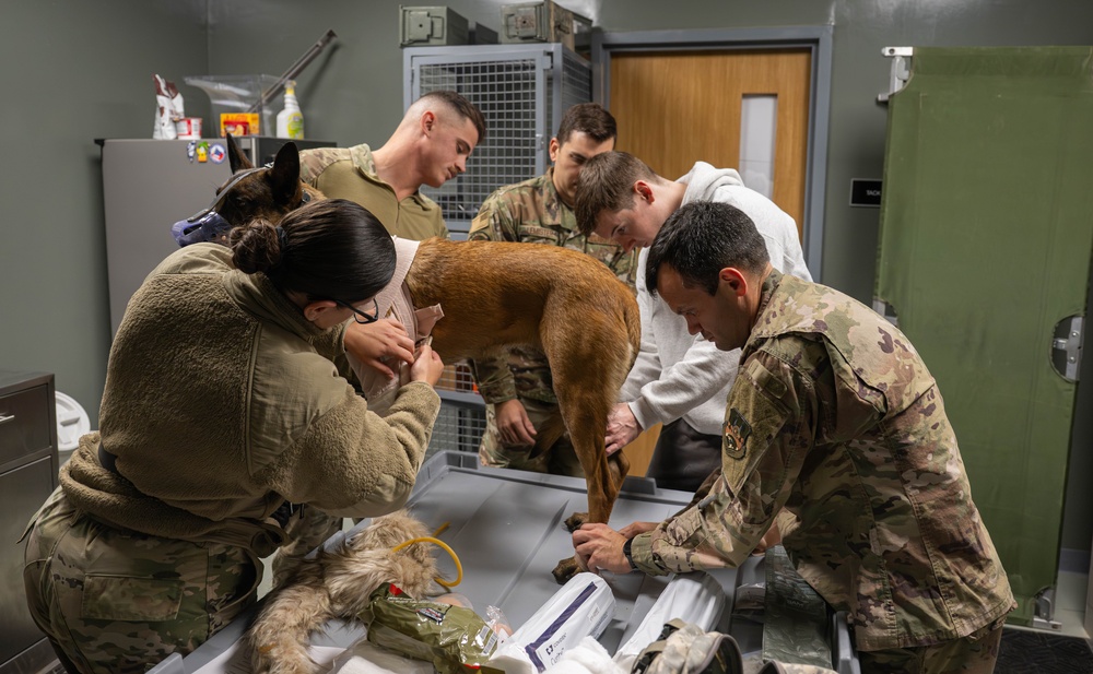 332nd EMDS receives canine TCCC training