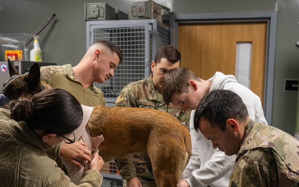 332nd EMDS receives canine TCCC training