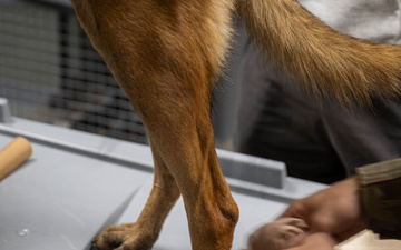 332nd EMDS receives canine TCCC training