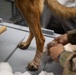 332nd EMDS receives canine TCCC training