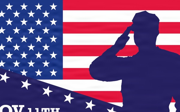 Veterans Day Graphic