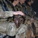 Helicopter MEDEVAC Training enhances military working dogs' readiness