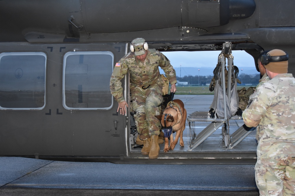 Helicopter MEDEVAC Training enhances military working dogs' readiness