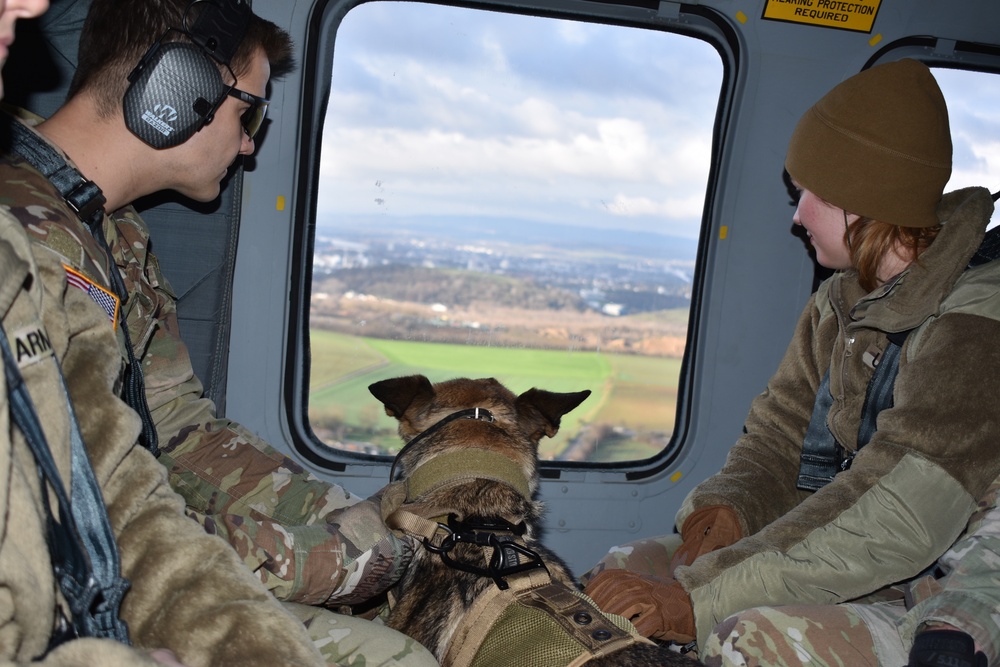 Helicopter MEDEVAC Training enhances military working dogs' readiness