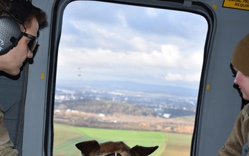 Helicopter MEDEVAC Training enhances military working dogs' readiness
