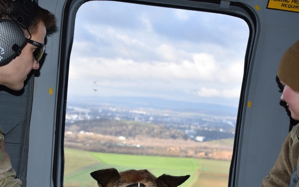 Military Working Dogs Enhance Readiness Through Helicopter MEDEVAC Training