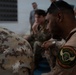 Close Air Support Training with Mauritania for BTF 26.1