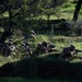 U.S., Albania SOF Conduct Emergency Deployment Readiness Exercise