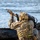 Coast Guard Maritime Security Response Team-East conducts training