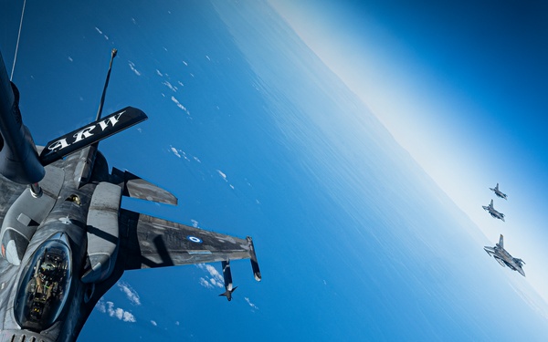 Falcon Strike 2025: Birds of prey
