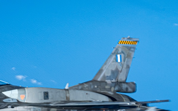 Falcon Strike 2025: Birds of prey