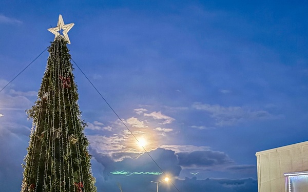 Romanian Tree Lighting Ceremony 2025