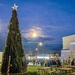 Romanian Tree Lighting Ceremony 2025