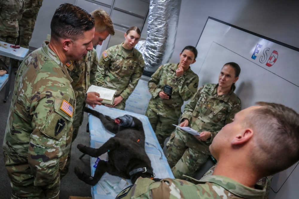 Realistic Manikin Training Enhances Medical Readiness