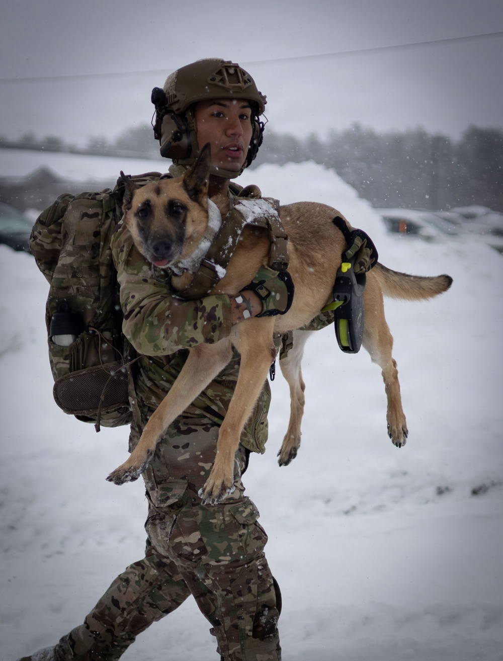 10th Mountain Division K9TCCC: Training Tough Dogs and Tougher Teams