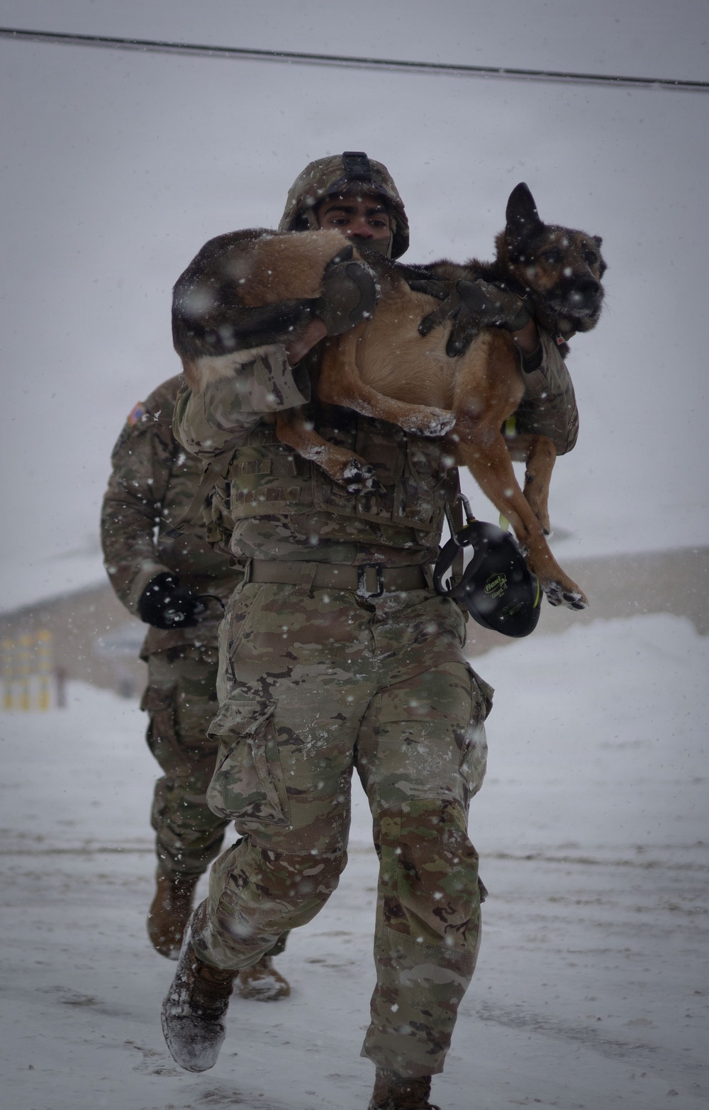 10th Mountain Division K9TCCC: Training Tough Dogs and Tougher Teams