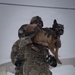 10th Mountain Division K9TCCC: Training Tough Dogs and Tougher Teams
