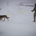 10th Mountain Division K9TCCC: Training Tough Dogs and Tougher Teams