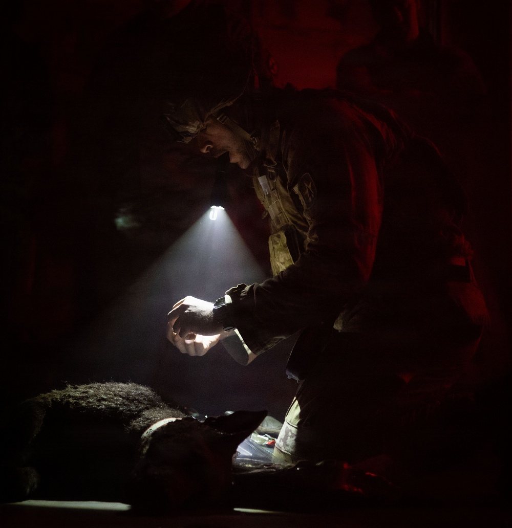 10th Mountain Division K9TCCC: Training Tough Dogs and Tougher Teams