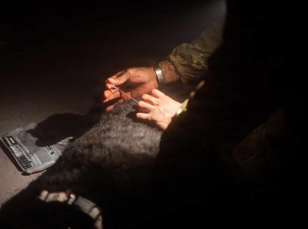 10th Mountain Division K9TCCC: Training Tough Dogs and Tougher Teams