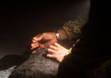 10th Mountain Division K9TCCC: Training Tough Dogs and Tougher Teams