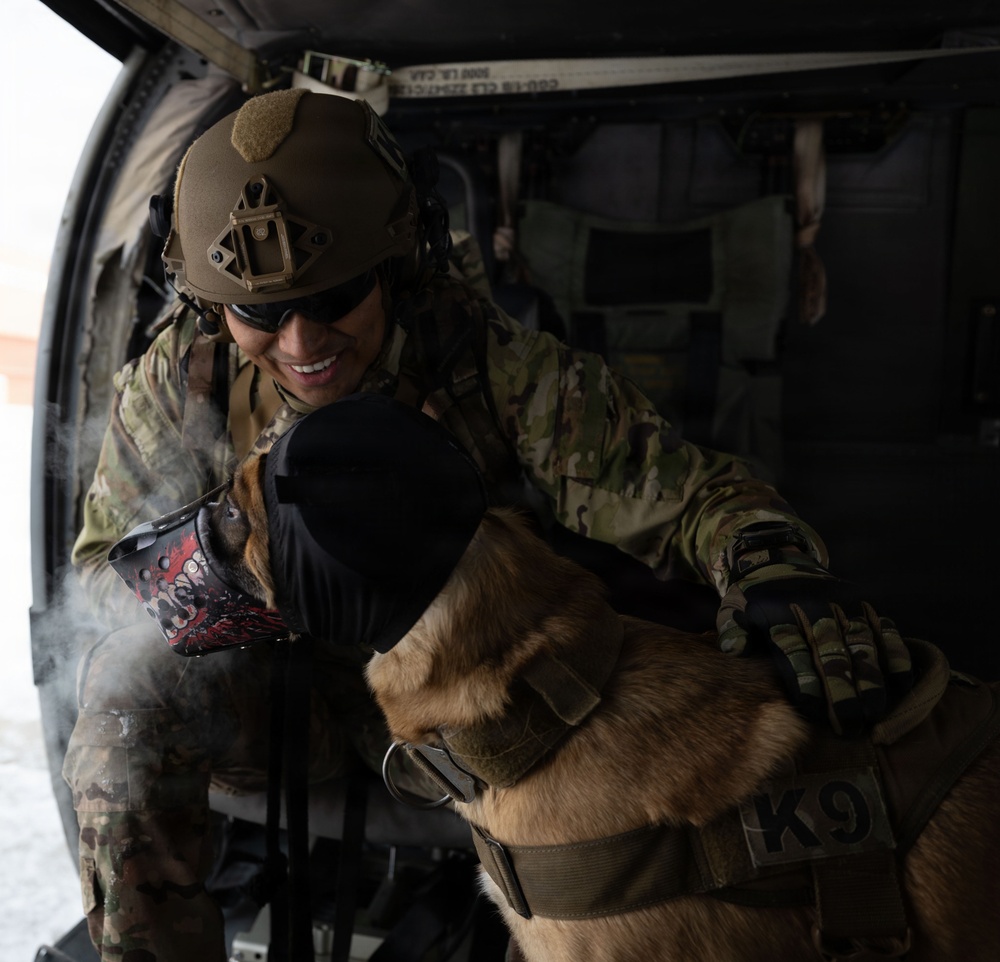 10th Mountain Division K9TCCC: Training Tough Dogs and Tougher Teams