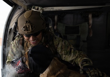 10th Mountain Division K9TCCC: Training Tough Dogs and Tougher Teams