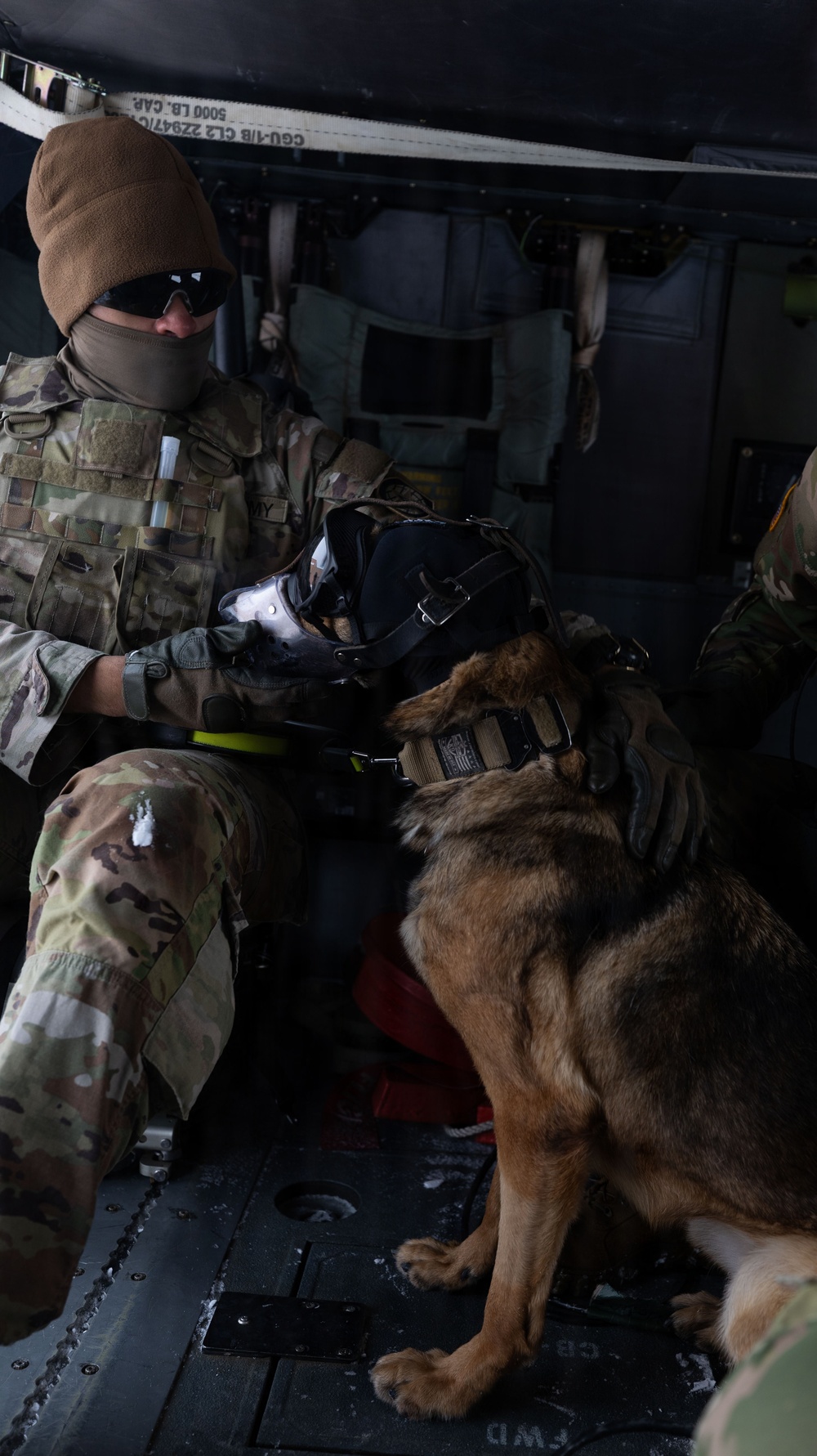 10th Mountain Division K9TCCC: Training Tough Dogs and Tougher Teams