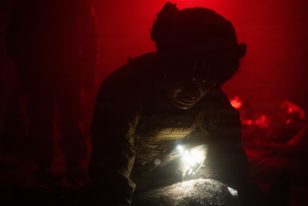 10th Mountain Division K9TCCC: Training Tough Dogs and Tougher Teams