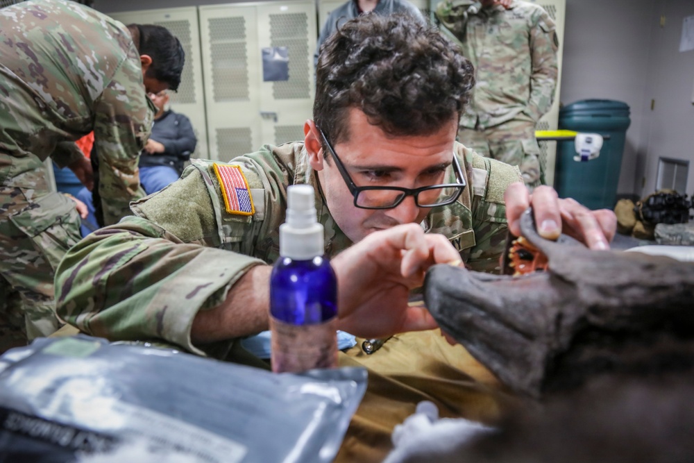 BACH Education &amp;amp; Staff Development trains Soldiers in K9 TCCC