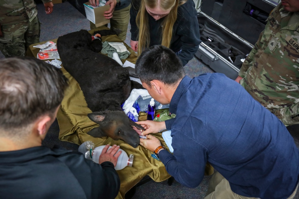 BACH Education &amp;amp; Staff Development trains Soldiers in K9 TCCC