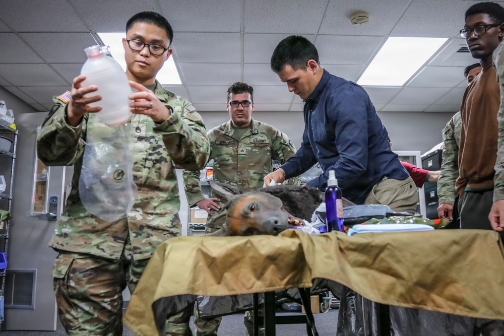 BACH Education &amp;amp; Staff Development trains Soldiers in K9 TCCC