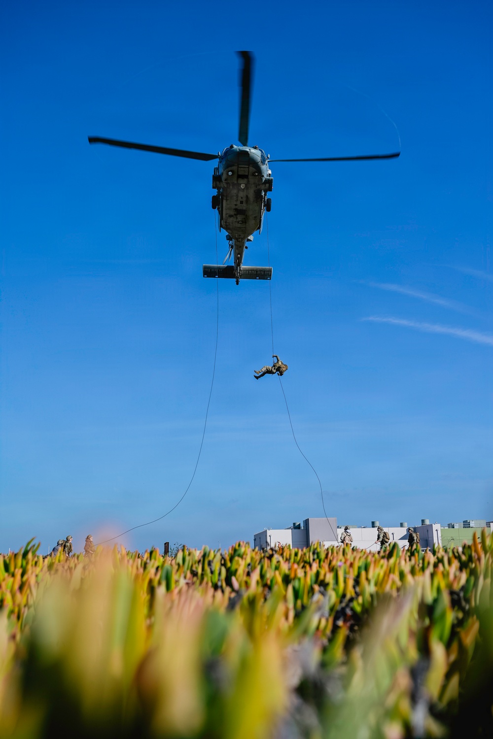 EOD Technicians Practice Daytime Rappelling and Fast-Roping Techniques