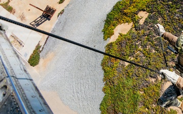 EOD Technicians Practice Daytime Rappelling and Fast-Roping Techniques
