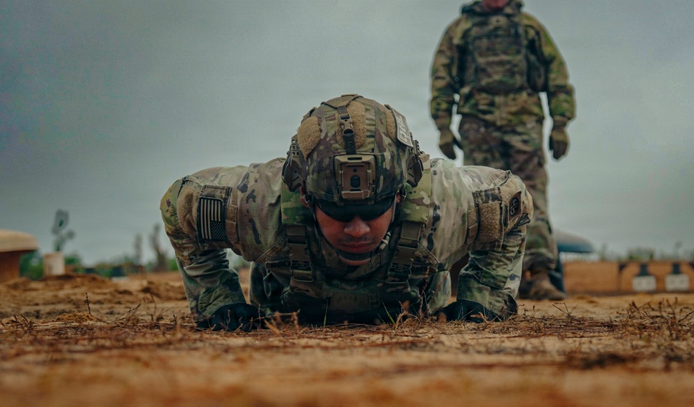 DIVARTY Best of the Best: Stress shoot