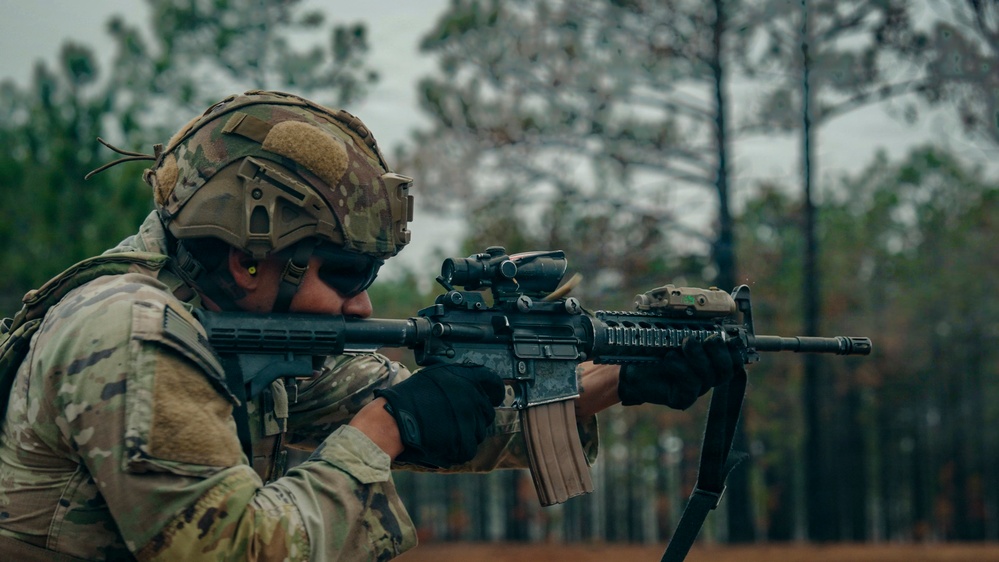 DIVARTY Best of the Best: Stress shoot