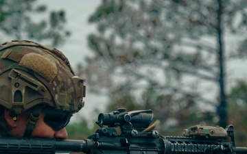 DIVARTY Best of the Best: Stress shoot