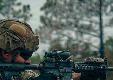 DIVARTY Best of the Best: Stress shoot