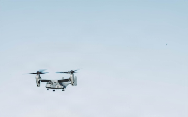 Steel Knight 25: Stingers Conduct Close Air Support Preflight