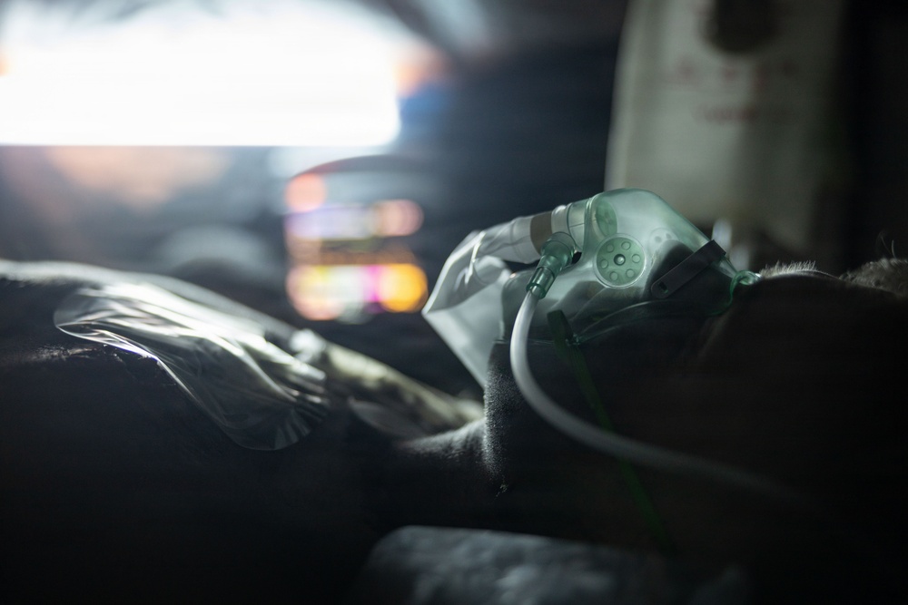 U.S. Navy Sailors alongside Finnish service members execute a simulated mass casualty response