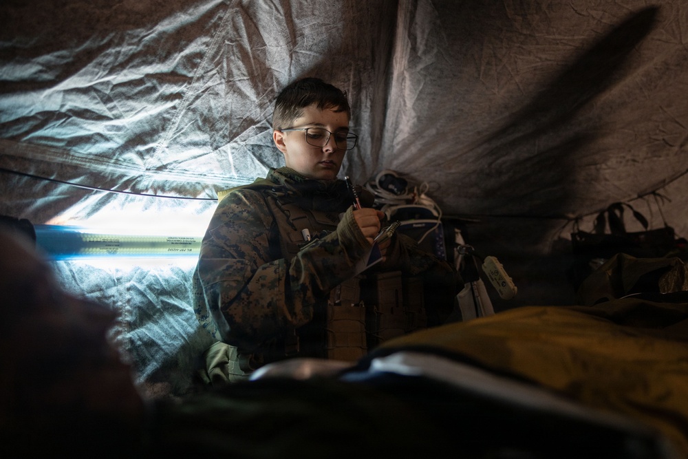 U.S. Navy Sailors alongside Finnish service members execute a simulated mass casualty response
