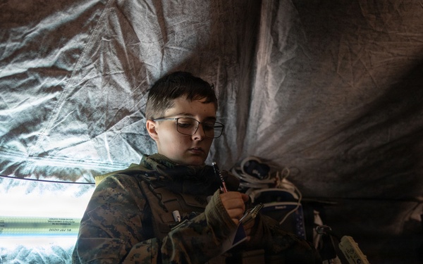 U.S. Navy Sailors alongside Finnish service members execute a simulated mass casualty response