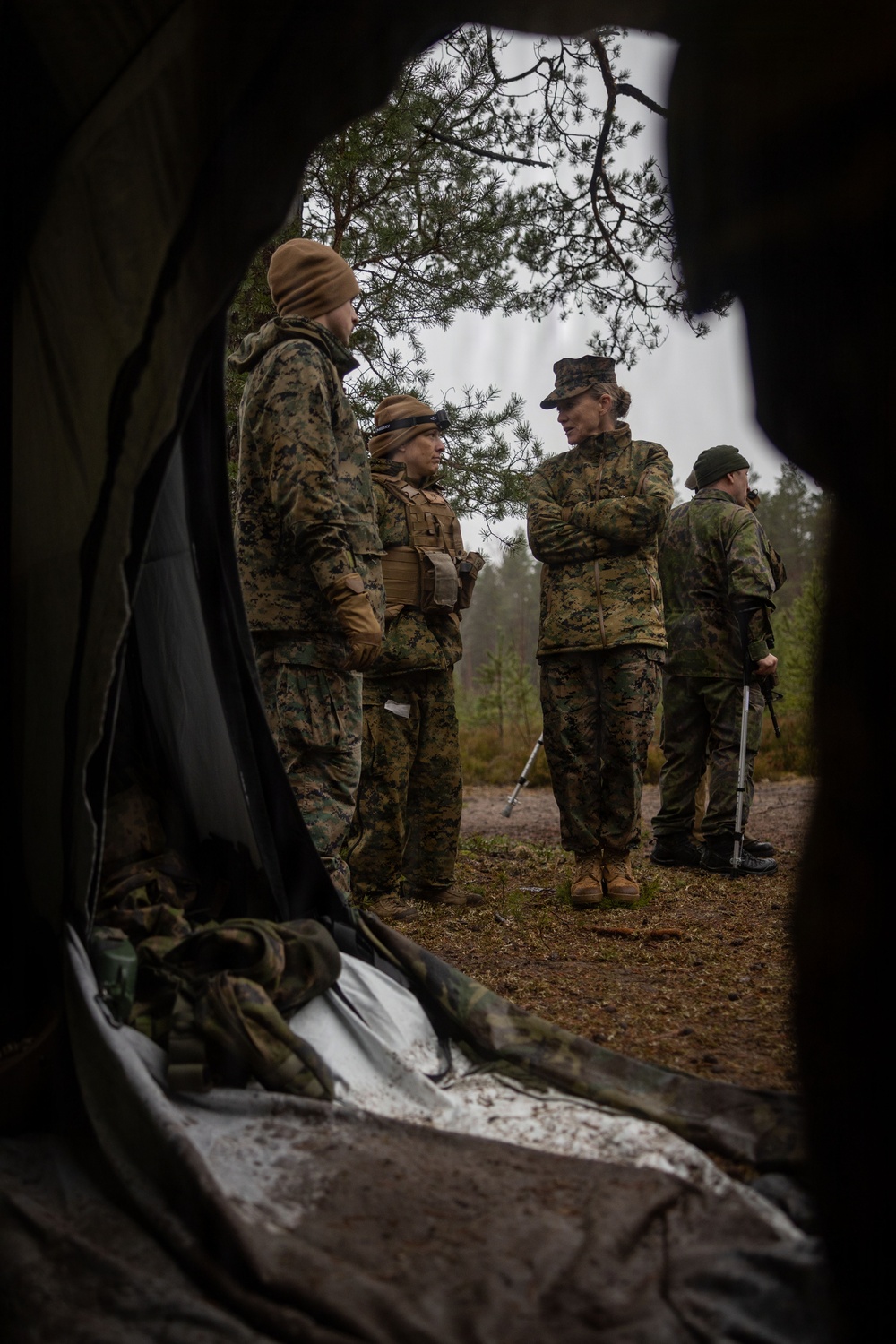 2nd MLG Commanding General and leaders from NATO Ally and Partner nations visit bilateral training