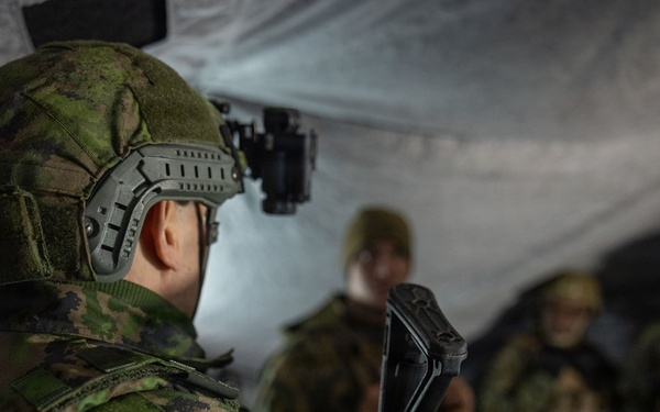 2nd MLG Commanding General and leaders from NATO Ally and Partner nations visit bilateral training