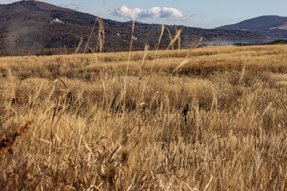 ARTP 25.3 | 12th LCT Marines Execute a Squad Attack Rehearsal