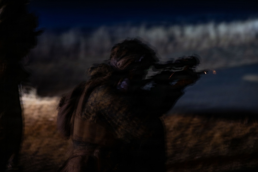 ARTP 25.3 | 12th LCT Marines Execute a Night Live-Fire Range